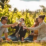 公寓式酒店 Domaine Edegger - Organic Winery Badacsony 包道乔尼托毛伊