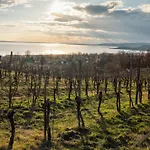 公寓式酒店 Domaine Edegger - Organic Winery Badacsony