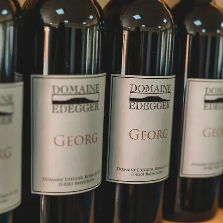Domaine Edegger - Organic Winery Badacsony 公寓式酒店 3*