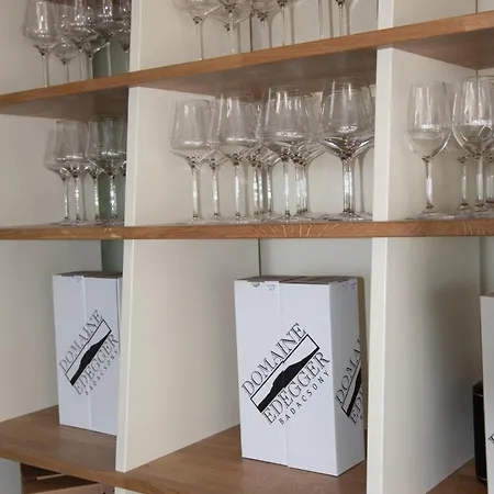 Aparthotel Domaine Edegger - Organic Winery Badacsony