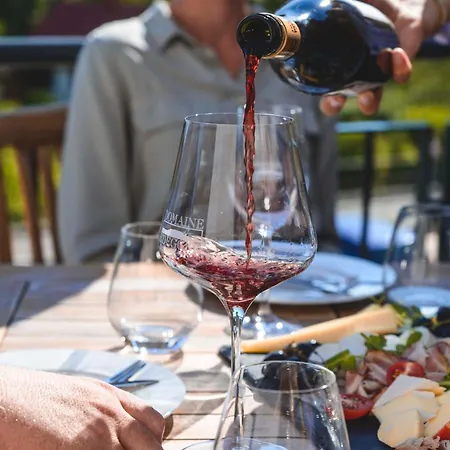 Domaine Edegger - Organic Winery Badacsony Апарт-отель Бадачоньтомай