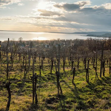 Aparthotel Domaine Edegger - Organic Winery Badacsony