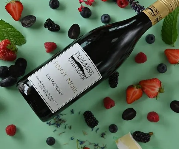 Domaine Edegger - Organic Winery Badacsony בדקסוניטומאי